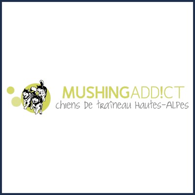 Mushing Addict Chiens de Traîneau