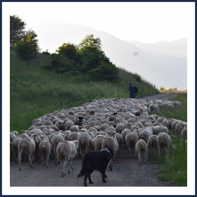 La Ferme du Petit Puy Embrun