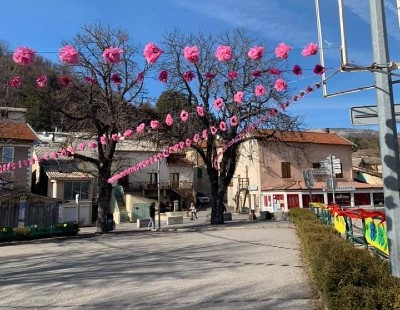 Association Aspremontaise de Festivités