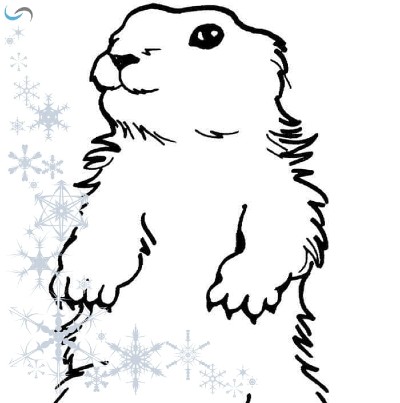 APE des Marmottes Saint Chaffrey