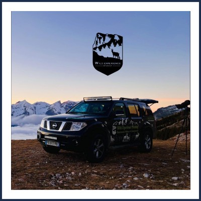 Wild Expérience Dévoluy