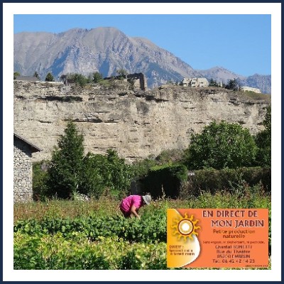 En direct de mon Jardin