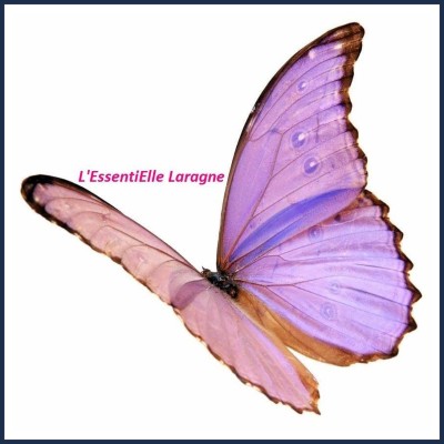 L'EssentiElle Laragne