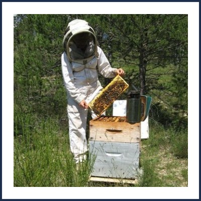 Yves et Elisabeth Bernard Apiculteurs