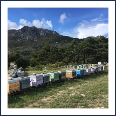 Les Ruchers des 4 Saisons