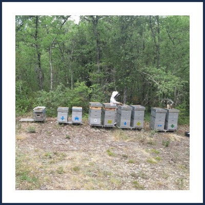 La Miellerie de Sarah C.