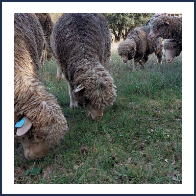 Bergerie La Coursaline