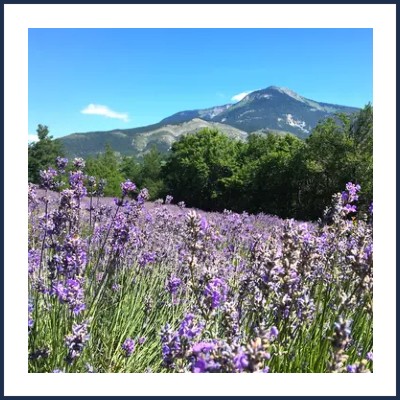 La Distillerie les Pusteaux