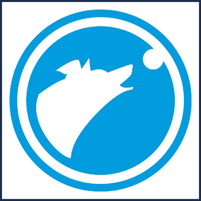 Iris Castaing LudiCanis Dresseur