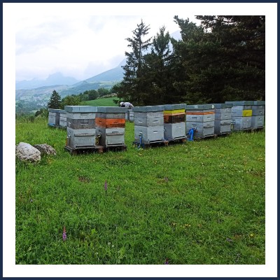 Le Rucher de la Roche