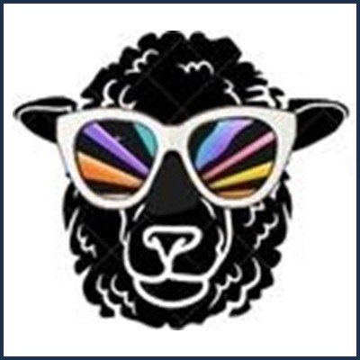 Association Anim'Agnel