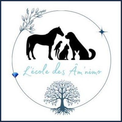 L’École des Âm'nimo
