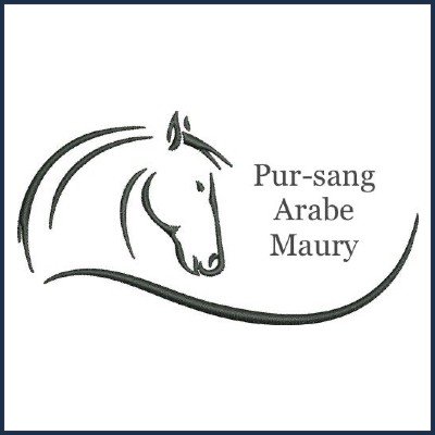Élevage Pur-sang Arabe Maury 