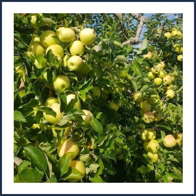 Gérard Beynet Maraîcher