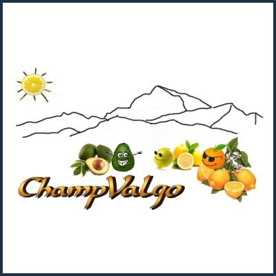  ChampValgo