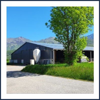 Yoan Rochas Éleveur