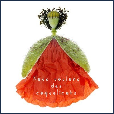 Bertrand Bodin Photographe