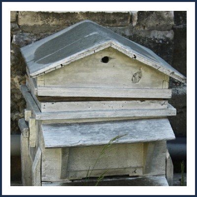 Daniel Brutinel Apiculteur