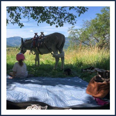 Camping à la ferme Bamboul'âne
