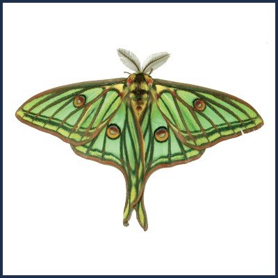 Autour de La Biaysse 