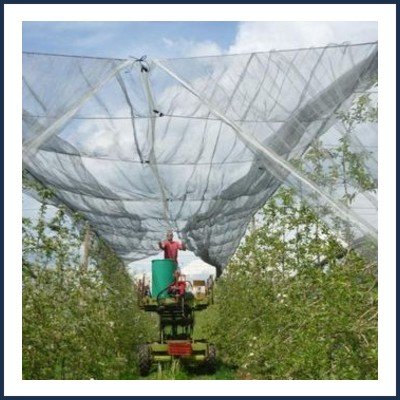 Les Tilleuls Maraîcher