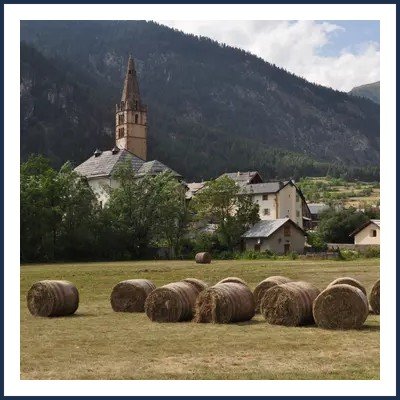 Gaec Le champ du Pin