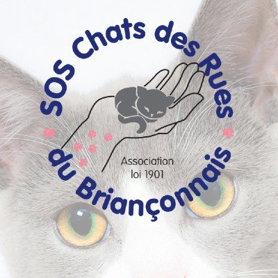 SOS Chats des Rues du Briançonnais