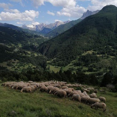 Ferme de l'Aigle