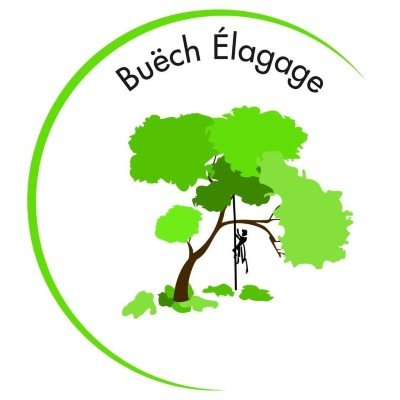 Buëch Élagage