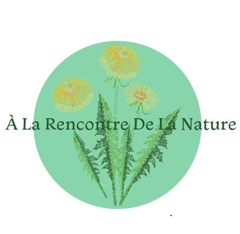 Rencontrerlanature