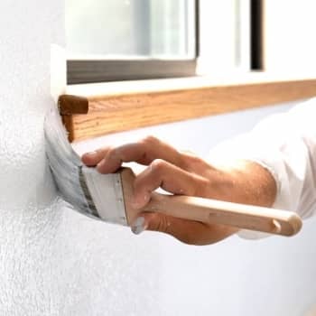 Tout savoir sur  Peintre 